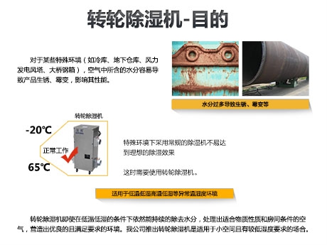 猫粮防潮秘籍，猫粮如何储存