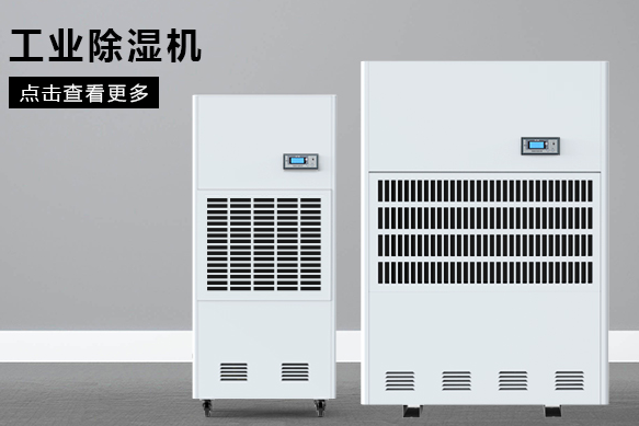 粮食樱桃TV在线观看机