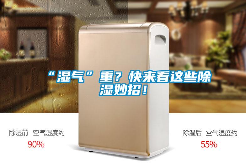 “湿气”重？快来看这些樱桃TV在线观看妙招！