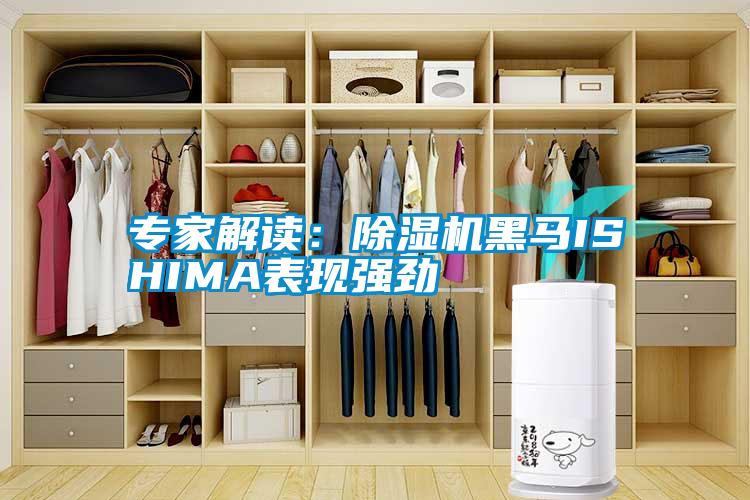 专家解读：樱桃TV在线观看机黑马ISHIMA表现强劲