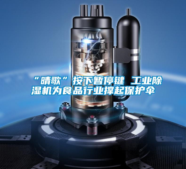 “晴歌”按下暂停键 工业樱桃TV在线观看机为食品行业撑起保护伞