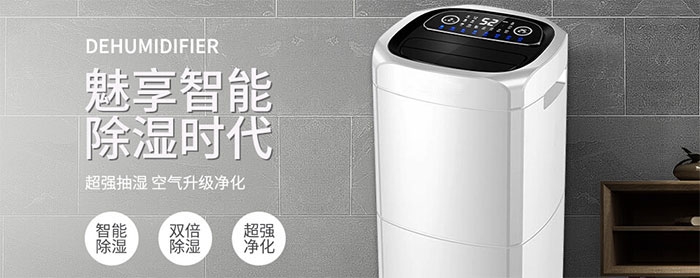 梅雨季怎么避免猫咪因潮湿而感染猫癣？