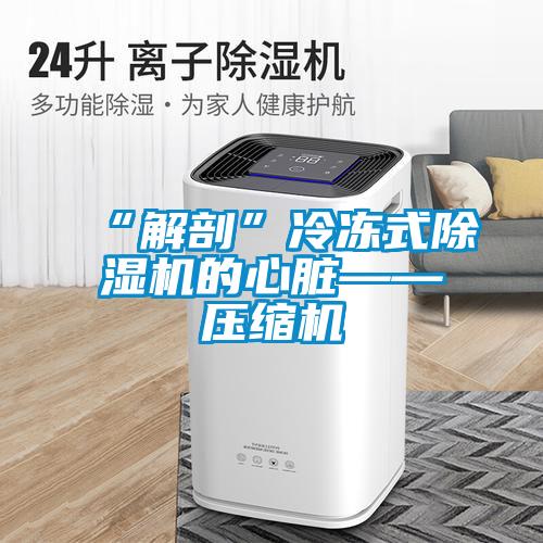 “解剖”冷冻式樱桃TV在线观看机的心脏——压缩机
