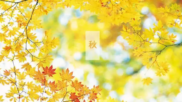 知识百科一定要樱桃TV在线观看的10大领域
