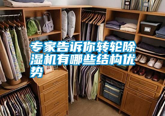 专家告诉你转轮樱桃TV在线观看机有哪些结构优势