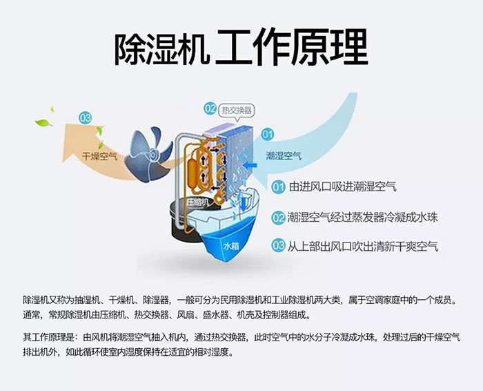 南方梅雨季到了房屋墙壁渗水、返潮怎么办？