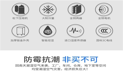 别墅地下室必须樱桃TV在线观看