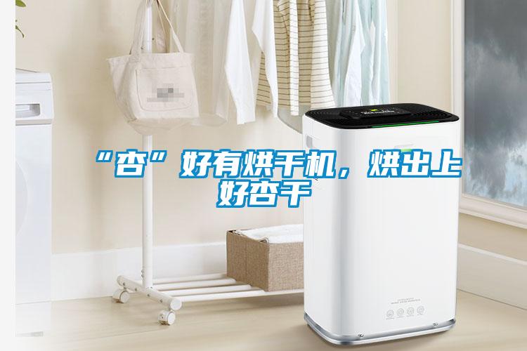 “杏”好有烘干机，烘出上好杏干