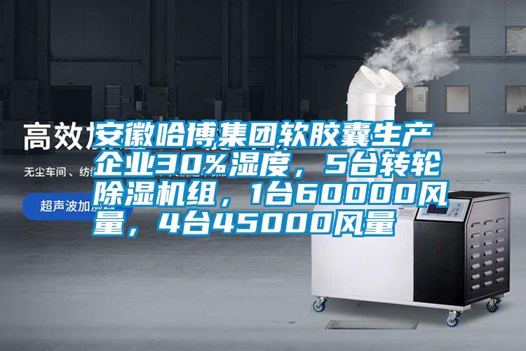 安徽哈博集团软胶囊生产企业30%湿度，5台转轮樱桃TV在线观看机组，1台60000风量，4台45000风量