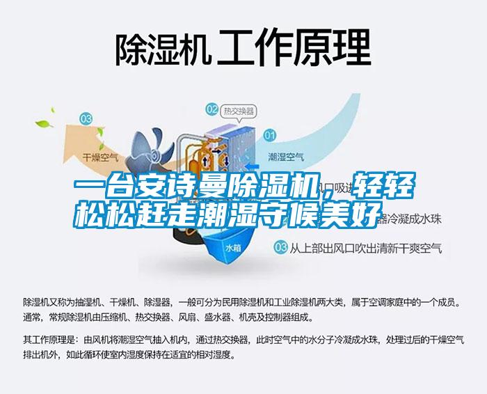 一台樱桃视频大全免费观看樱桃TV在线观看机，轻轻松松赶走潮湿守候美好