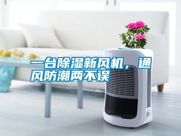 一台樱桃TV在线观看新风机，通风防潮两不误