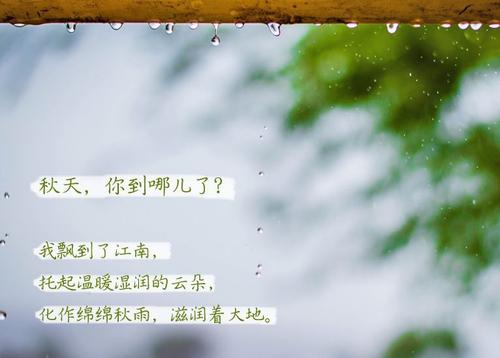 “无晴”阴雨天 “有晴”樱桃TV在线观看机