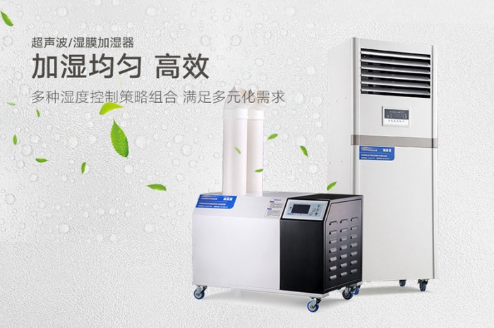 端午节吃苋菜 清热解毒又樱桃TV在线观看