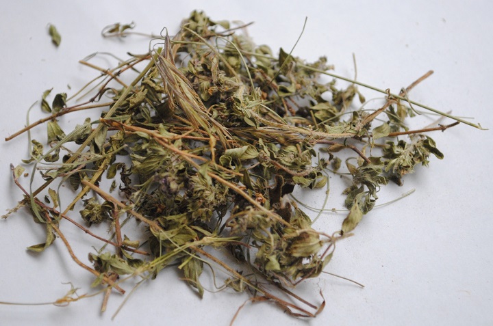 樱桃视频大全免费观看烘干机