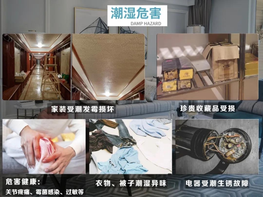 樱桃TV在线观看机