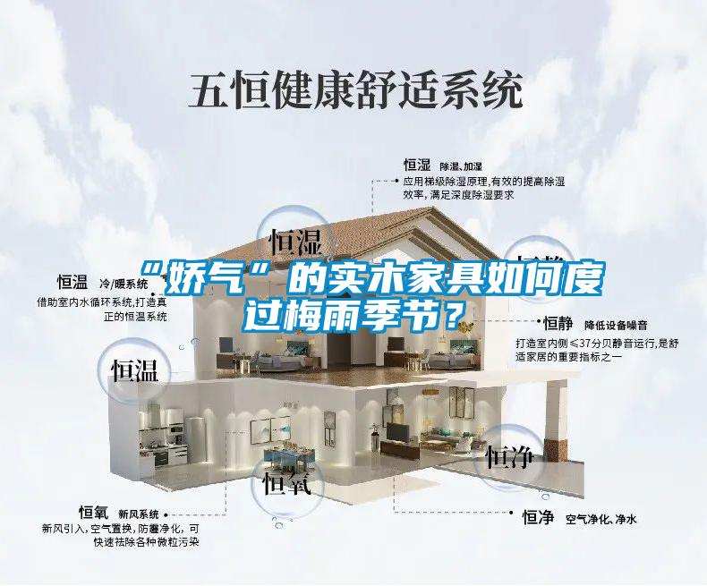 “娇气”的实木家具如何度过梅雨季节？