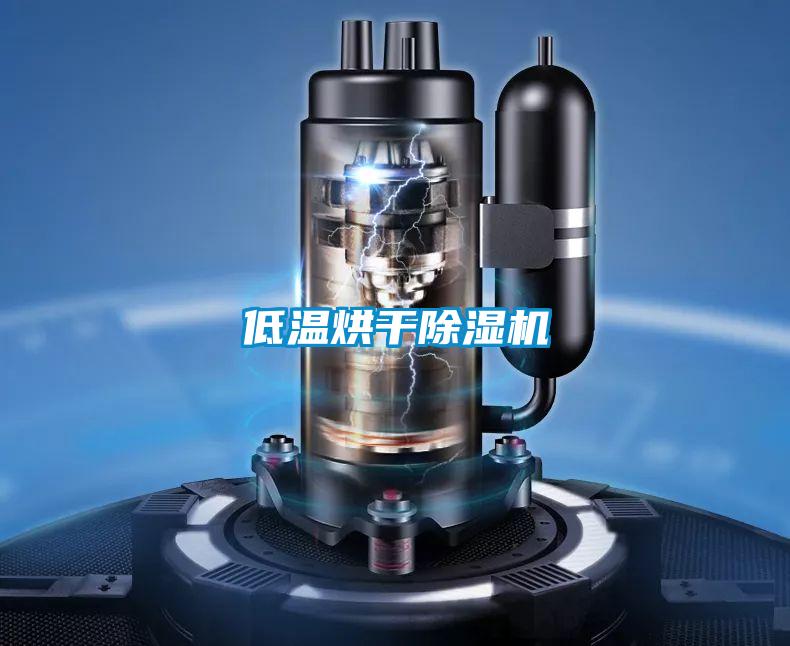 低温烘干樱桃TV在线观看机