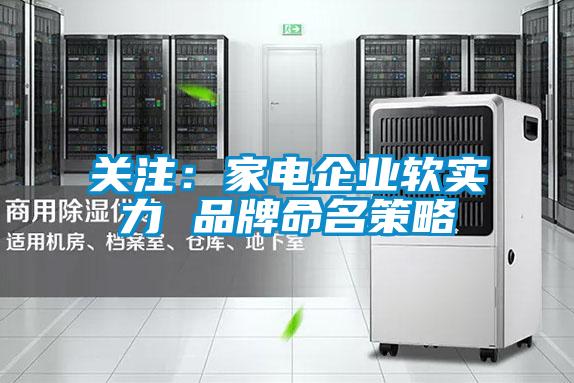 关注：家电企业软实力 品牌命名策略