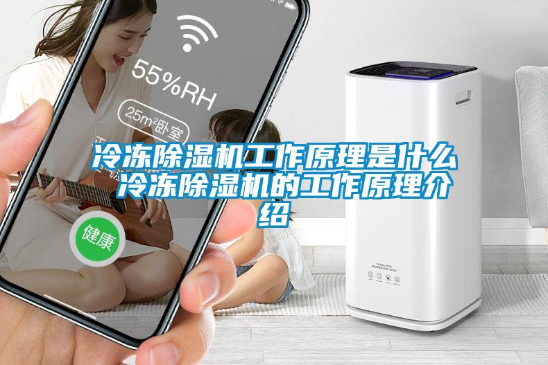 冷冻樱桃TV在线观看机工作原理是什么 冷冻樱桃TV在线观看机的工作原理介绍
