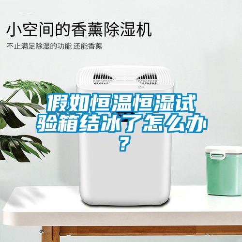 假如恒温恒湿试验箱结冰了怎么办？