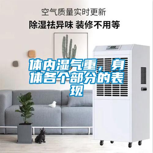 体内湿气重，身体各个部分的表现