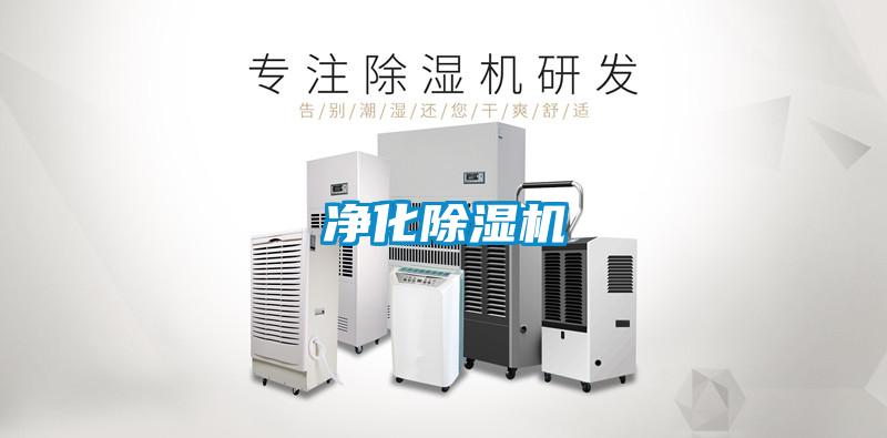 净化樱桃TV在线观看机