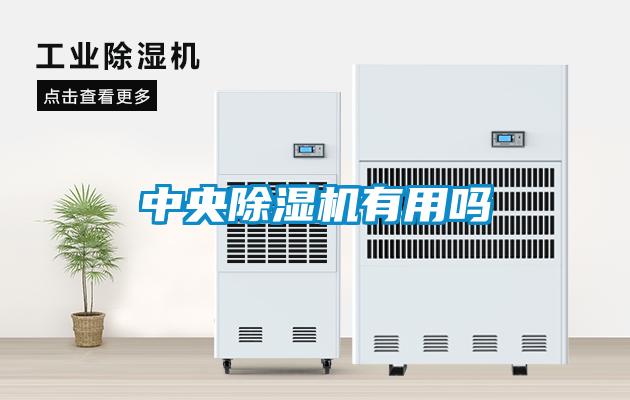 中央樱桃TV在线观看机有用吗