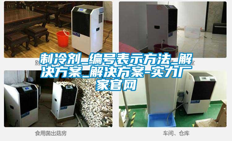 制冷剂_编号表示方法_解决樱桃视频成人_解决樱桃视频成人-实力厂家官网