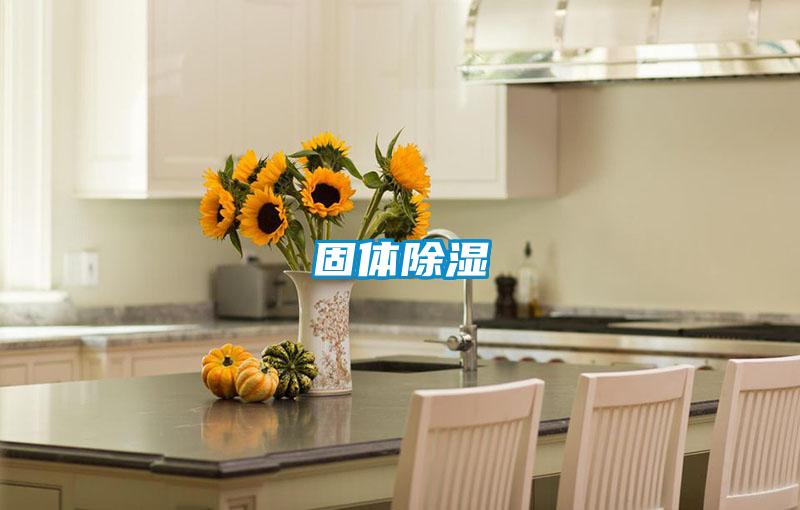 固体樱桃TV在线观看