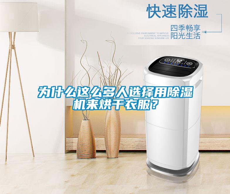 为什么这么多人选择用樱桃TV在线观看机来烘干衣服？