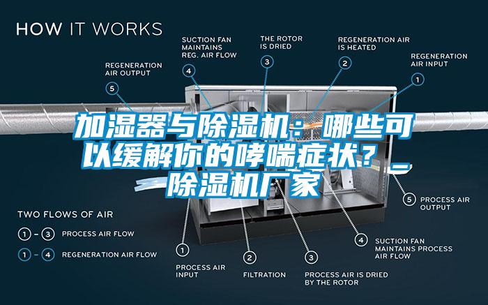 加湿器与樱桃TV在线观看机：哪些可以缓解你的哮喘症状？_樱桃TV在线观看机厂家