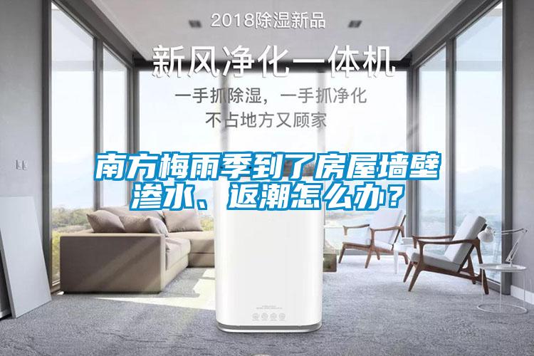 南方梅雨季到了房屋墙壁渗水、返潮怎么办？