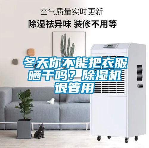 冬天你不能把衣服晒干吗？樱桃TV在线观看机很管用