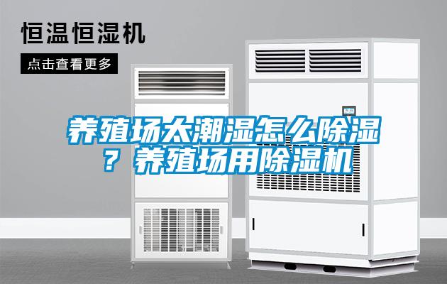 养殖场太潮湿怎么樱桃TV在线观看？养殖场用樱桃TV在线观看机