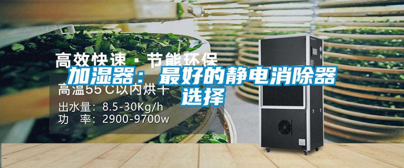 加湿器：最好的静电消除器选择