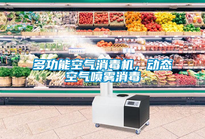 多功能空气消毒机，动态空气喷雾消毒