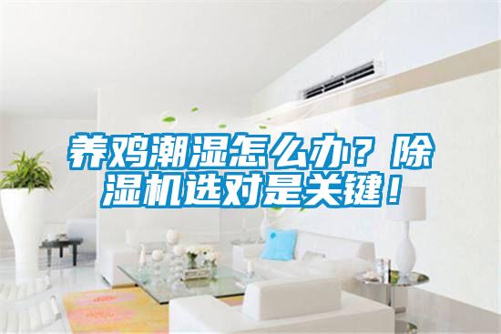 养鸡潮湿怎么办？樱桃TV在线观看机选对是关键！