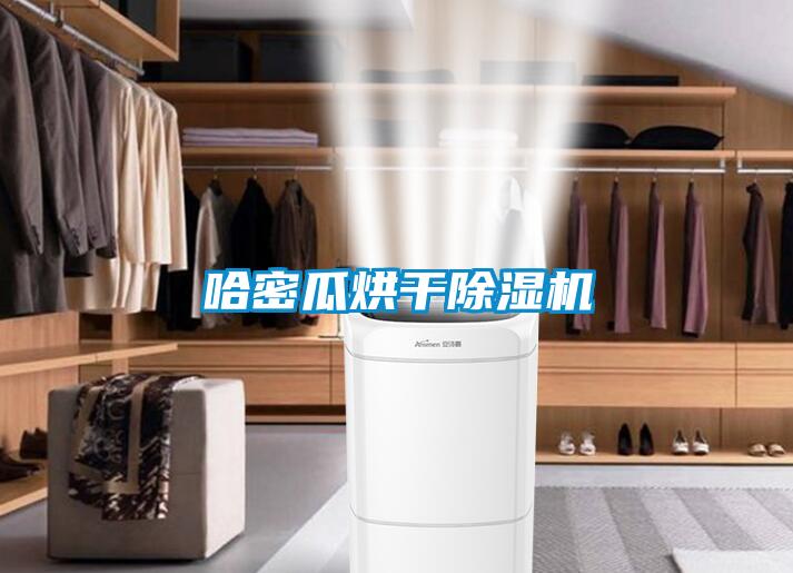 哈密瓜烘干樱桃TV在线观看机