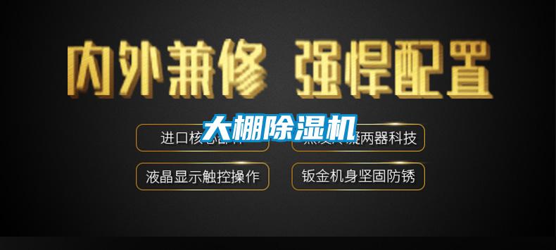 大棚樱桃TV在线观看机