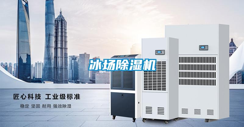 冰场樱桃TV在线观看机