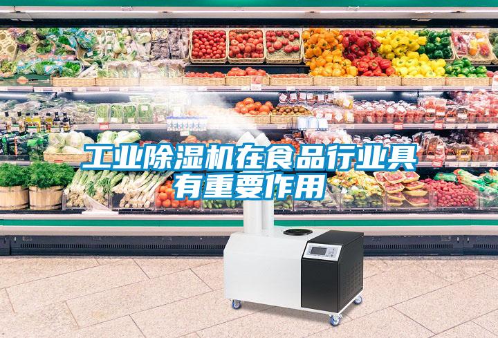 工业樱桃TV在线观看机在食品行业具有重要作用