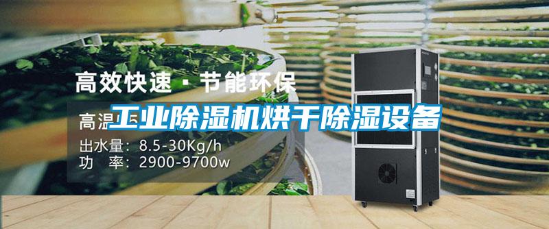 工业樱桃TV在线观看机烘干樱桃TV在线观看设备