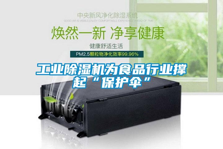 工业樱桃TV在线观看机为食品行业撑起“保护伞”