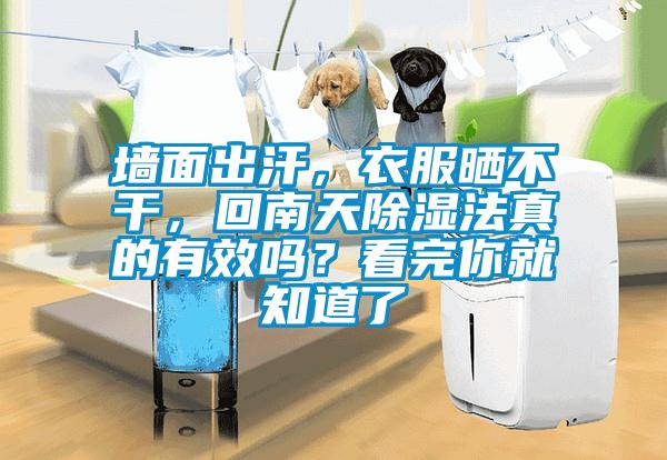 墙面出汗，衣服晒不干，回南天樱桃TV在线观看法真的有效吗？看完你就知道了
