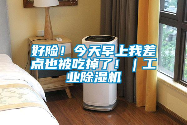 好险！今天早上我差点也被吃掉了！｜工业樱桃TV在线观看机