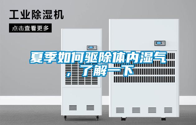 夏季如何驱除体内湿气，了解一下