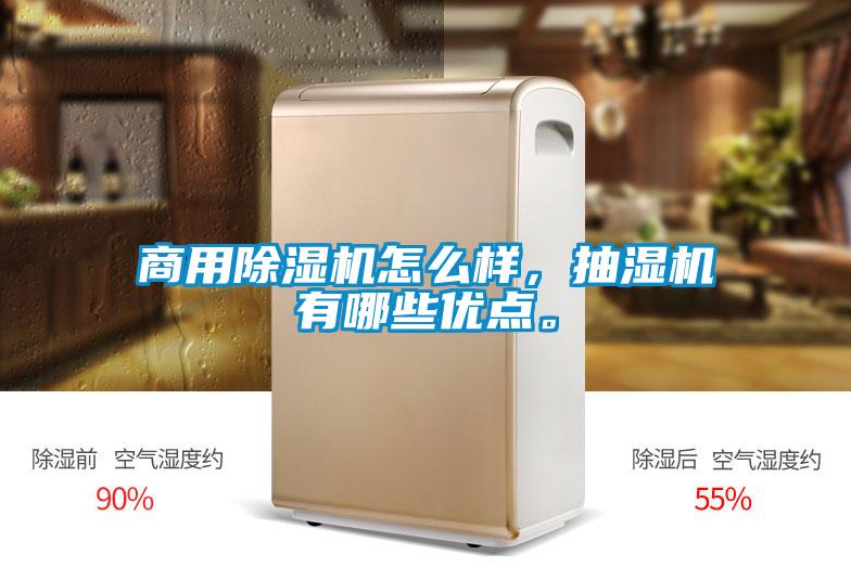 商用樱桃TV在线观看机怎么样，抽湿机有哪些优点。