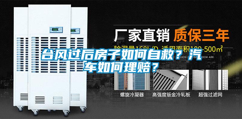 台风过后房子如何自救？汽车如何理赔？