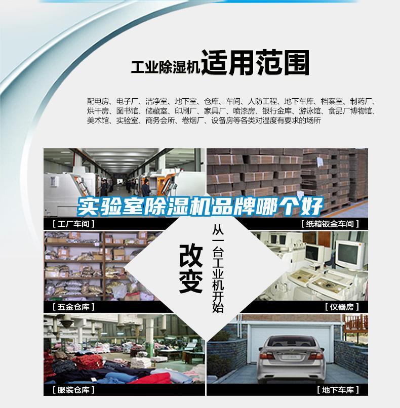 实验室樱桃TV在线观看机品牌哪个好