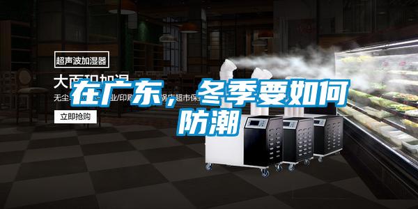 在广东，冬季要如何防潮